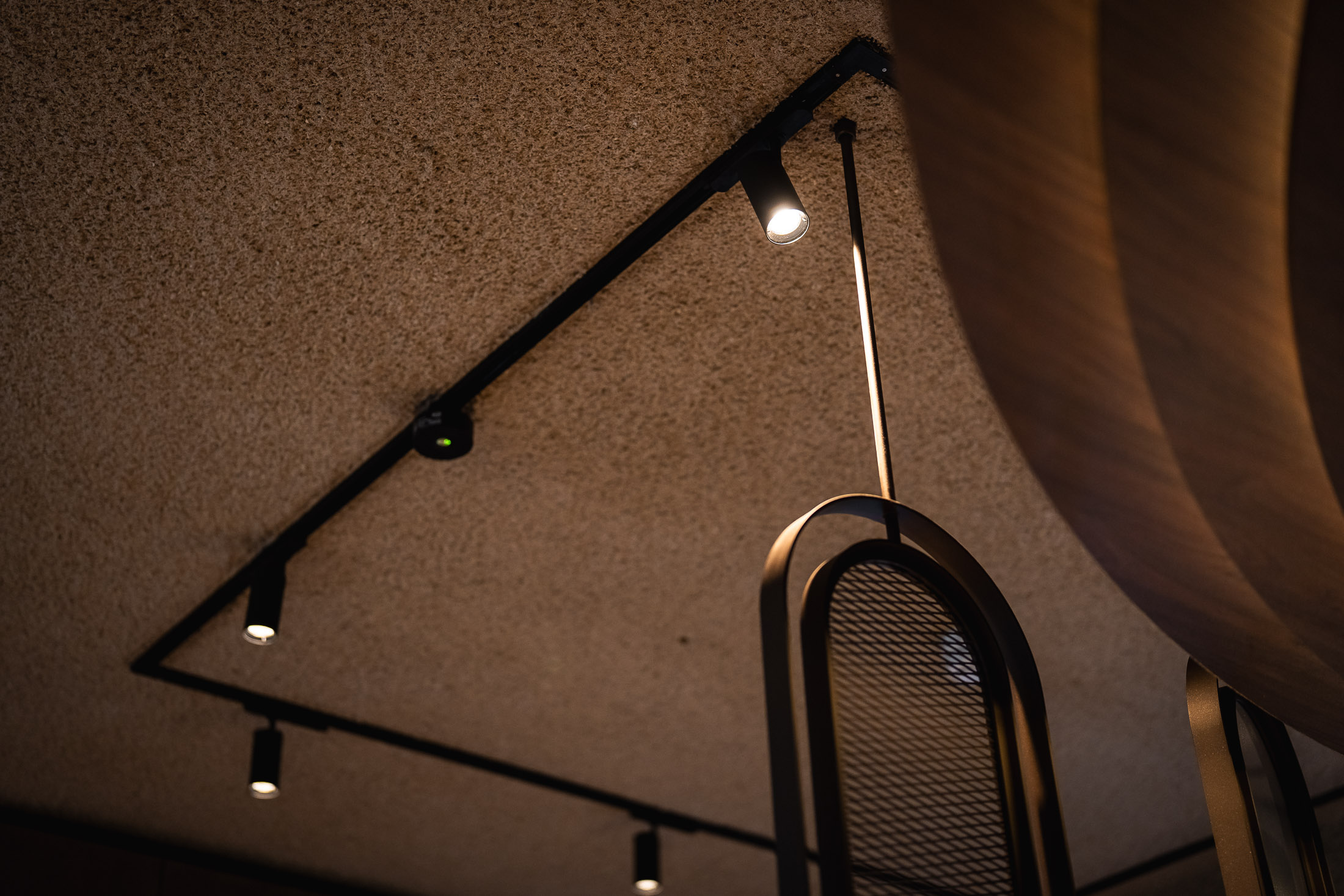 20250306 Pro Light Oedenrode LQ 0045